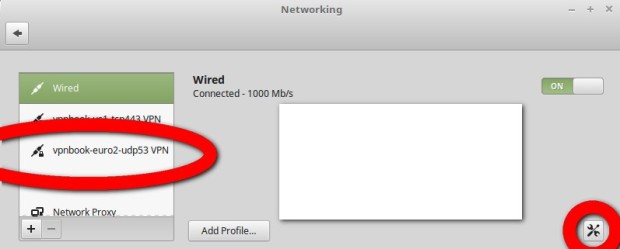 Connection added to Linux Mint Networking Manager